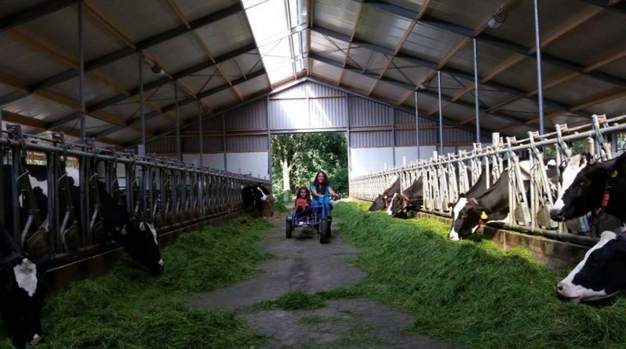 Hoeve De Pippert Hotel Ophemert ภายนอก รูปภาพ