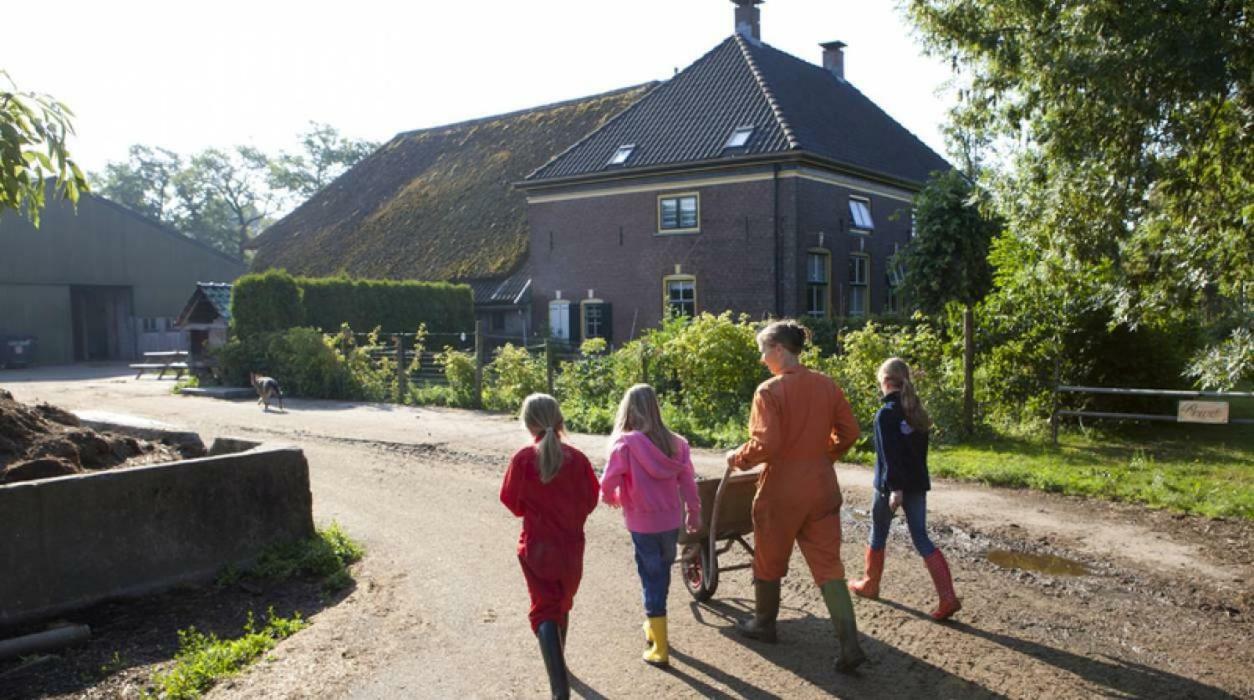 Hoeve De Pippert Hotel Ophemert ภายนอก รูปภาพ