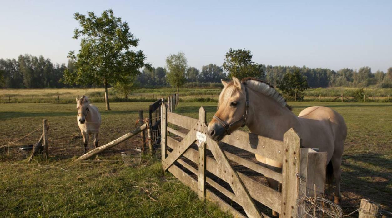 Hoeve De Pippert Hotel Ophemert ภายนอก รูปภาพ
